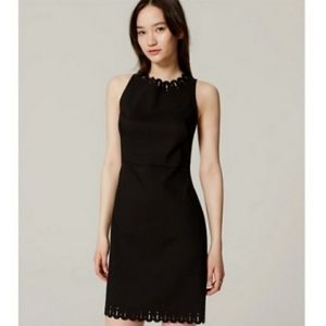 Loft Black Shift Dress
